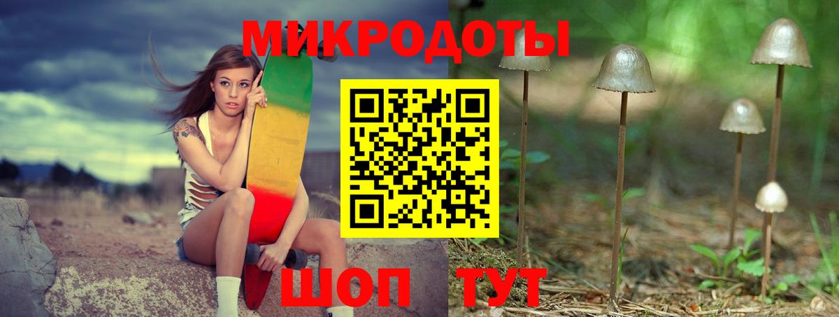Псилоцибиновые грибы MAGIC MUSHROOMS  Вход с VPN  Серов  Псилоцибиновые грибы мухоморы 